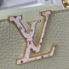 LV x TM Capucines Mini Capucines