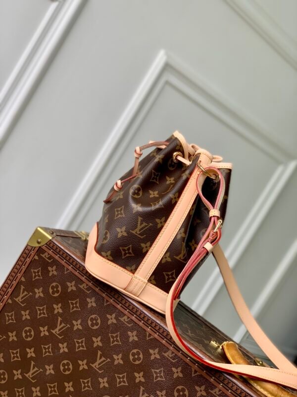 LV Noé BB Monogram