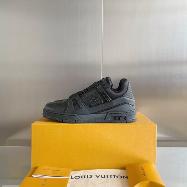 Louis Vuiton sneaker 2025072015
