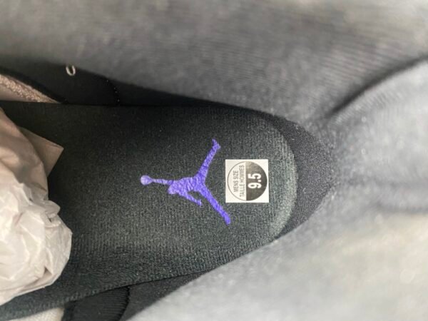 Jordan 12 Retro Bucks CT8013-103