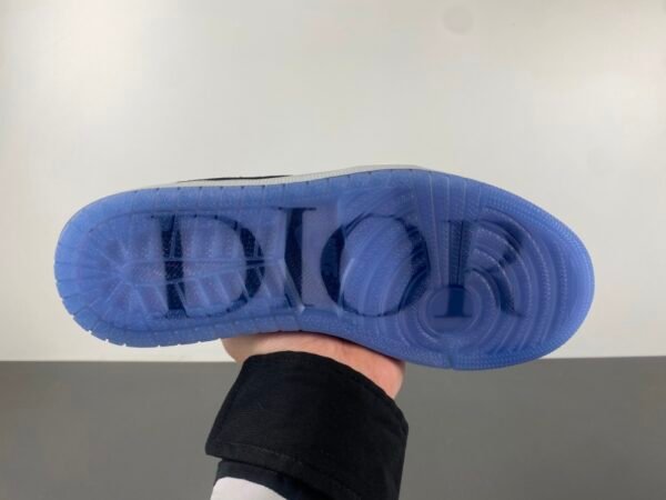 Dior x Air Jordan 1 Retro High Premium CV0343-100