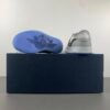 Dior x Air Jordan 1 Retro High Premium CV0343-100