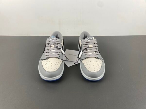 Dior x Air Jordan 1 Retro High Premium CV0343-100