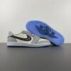 Dior x Air Jordan 1 Retro High Premium CV0343-100