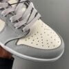 Dior x Air Jordan 1 Retro High Premium CV0343-100